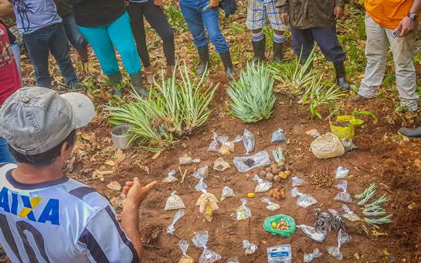  Agrofloresta e o pós-Covid19: a reconstrução do mundo produtivo pela ótica da natureza