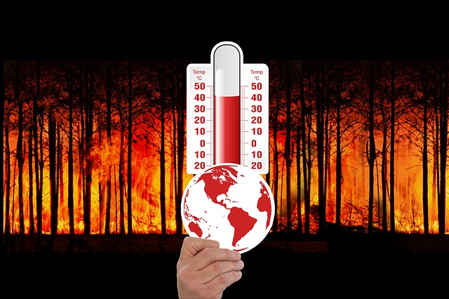  Leitura online sobre aquecimento global cresce 164% nos últimos 45 dias