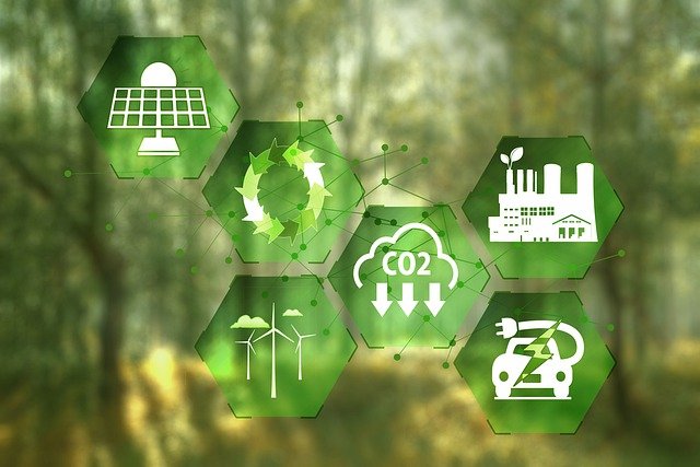  Jargões ESG: Entenda a diferença entre Net Zero e Carbono Neutro