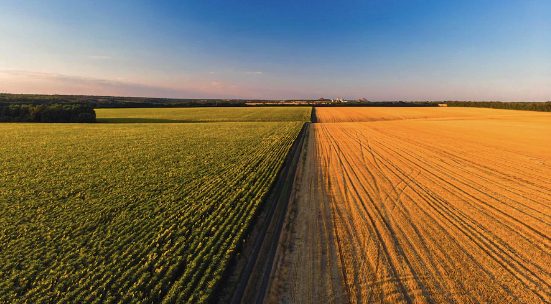  Mudanças climáticas são a maior preocupação de 72% dos produtores de soja