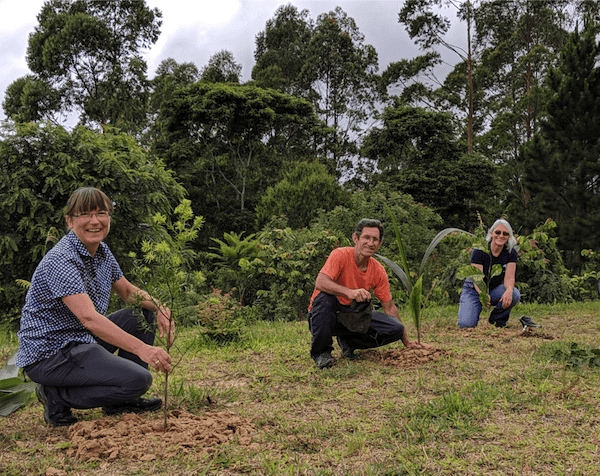  Dia Internacional das Florestas: conheça exemplos de boas práticas para a conservação e restauração de florestas alinhadas ao ODS 15