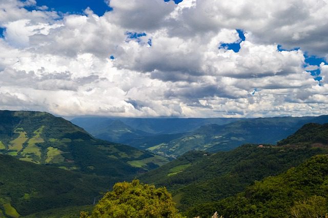  Com mais de 33 milhões de brasileiros sem acesso à água, o desmatamento da Mata Atlântica fomenta a escassez hídrica