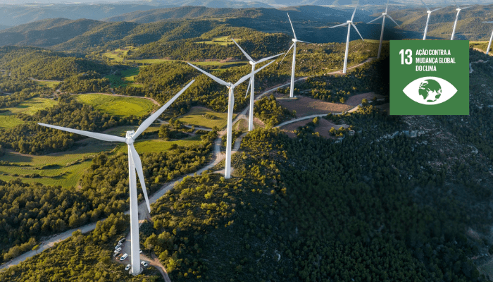  ODS 13 em Ação: COP 29 e o papel das empresas na era do clima extremo