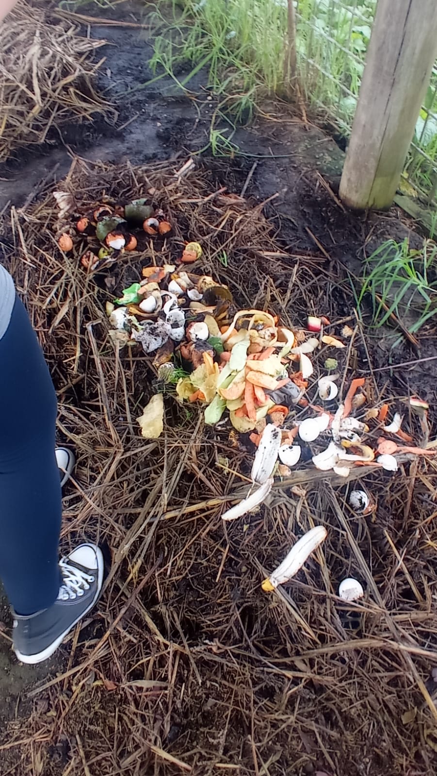  Estudantes do IFSC Lages desenvolvem projeto de compostagem e reduzem resíduos orgânicos enviados a aterros