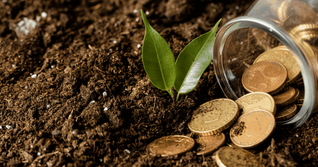 Moedas espalhadas sobre o solo fértil ao lado de um pequeno broto verde, simbolizando crescimento sustentável e investimento responsável.