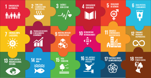  Visão sistêmica: a importância da conexão entre os ODS