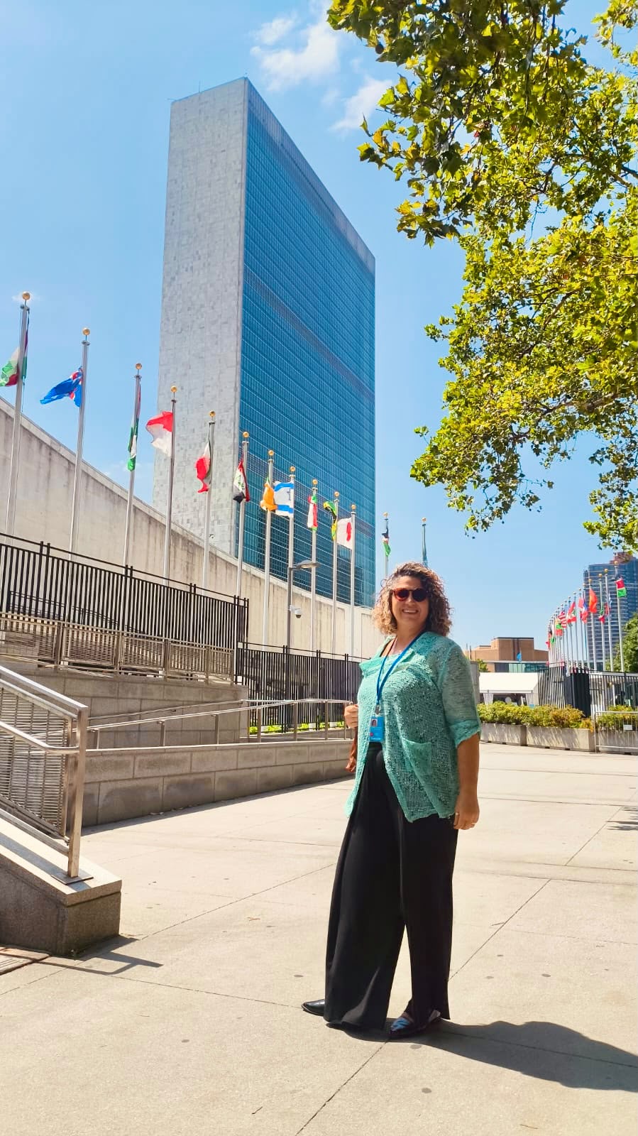  Selo Social apresenta experiências brasileiras de desenvolvimento sustentável em fórum mundial da ONU, em Nova York