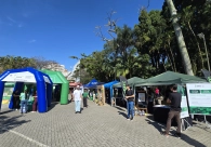Foto 2 da galeria